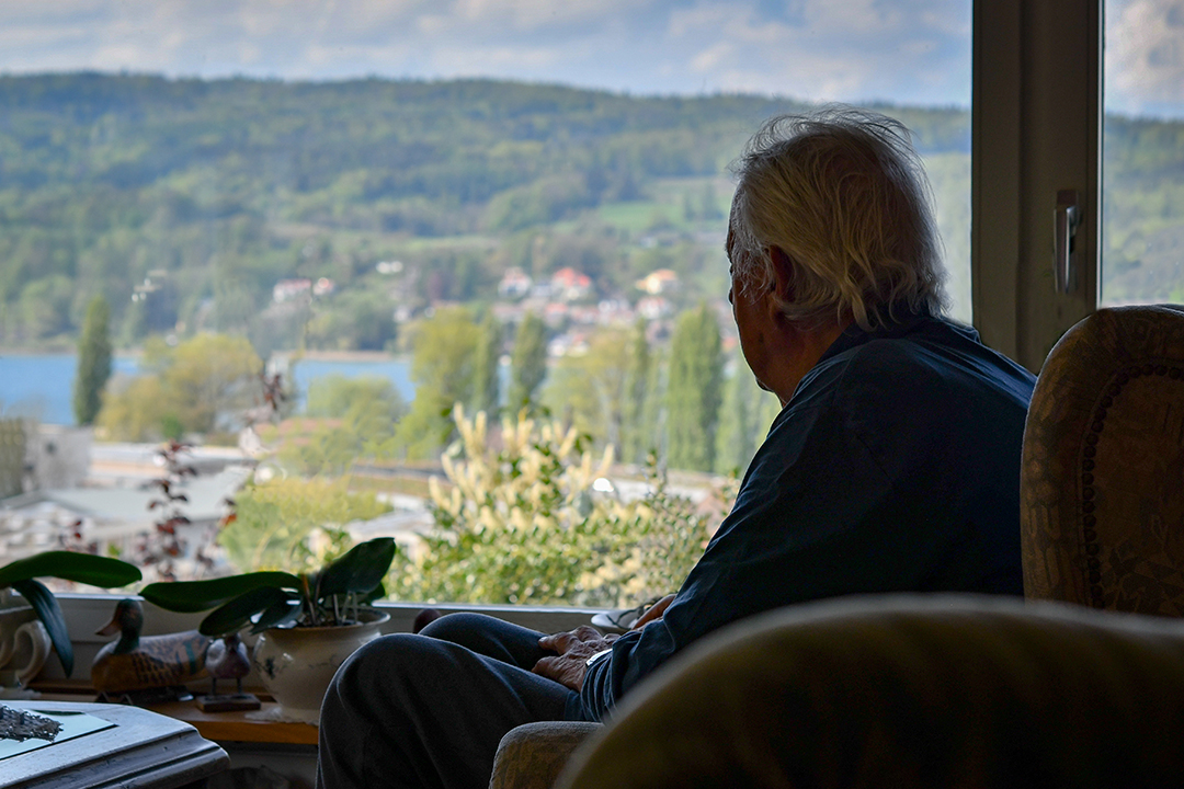 Ulmer Bild 5
